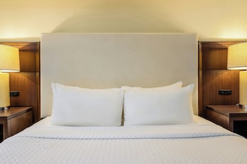 Standard Room, 1 King Bed, Non Smoking (Mobility/Hearing Access, Roll-in Shwr)