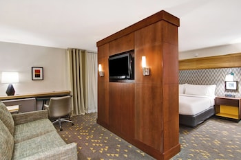 Suite, 1 King Bed with Sofa bed