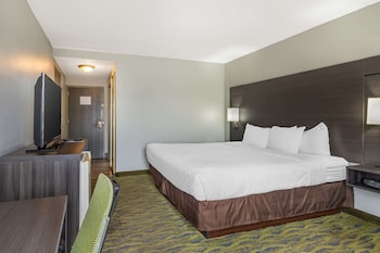 Standard Room, 1 King Bed, Non Smoking