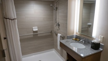 Room, 1 King Bed, Accessible, Non Smoking (Roll-in Shower)