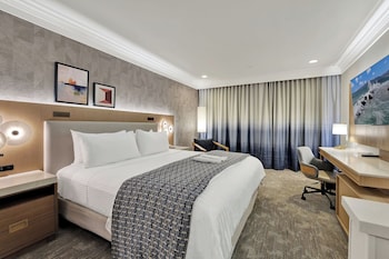 Standard Room, 1 King Bed, Non Smoking, Refrigerator & Microwave