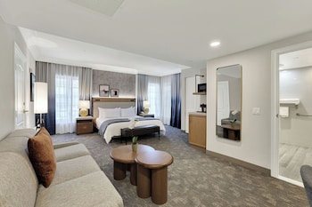 Standard Room, 1 King Bed, Accessible, Non Smoking (with Sofabed)