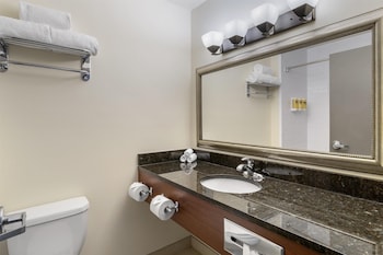 Standard Room, 1 King Bed, Refrigerator & Microwave, Lake View (Pet Friendly)
