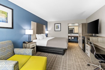 Standard Room, 1 King Bed, Non Smoking