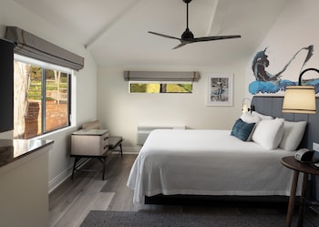 Suite, 1 King Bed