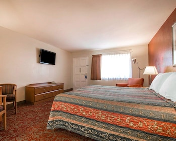 Standard, 1 King Bed, Accessible, Non Smoking (Roll-In Shower)
