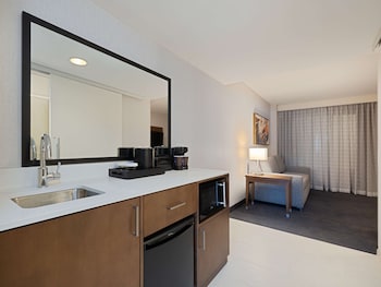 King, Suite, Accessible, Bathtub
