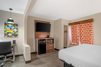 Standard Room, 1 King Bed, Non Smoking, Refrigerator & Microwave (with Sofabed)