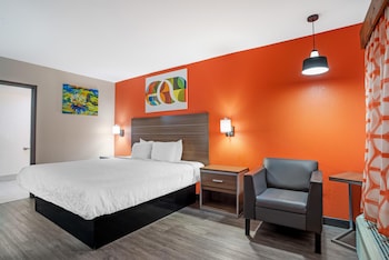 Standard Room, 1 King Bed, Accessible, Non Smoking