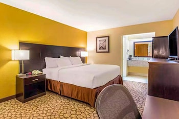 Room, 1 King Bed, Non Smoking