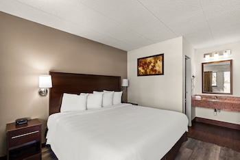 Standard Room, 1 King Bed, Smoking