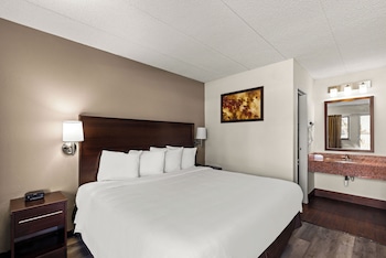 Standard Room, 1 King Bed, Smoking