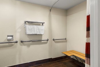 Standard Room, 1 King Bed, Accessible, Non Smoking (Roll-In Shower)