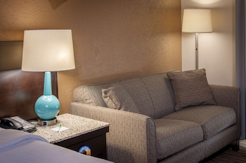 Standard Room, 1 King Bed, Non Smoking, Refrigerator (with Sofabed)