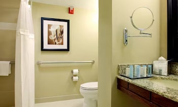 Room, Accessible (Roll-in Shower)