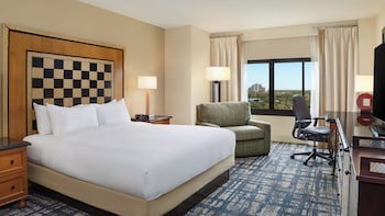 Room, 1 King Bed