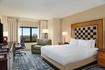 Room, 1 King Bed