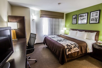 Standard Room, 1 King Bed, Accessible, Non Smoking (Roll-In shower)