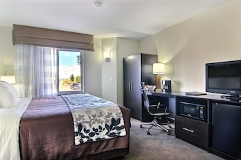 Standard Room, 1 King Bed, Non Smoking