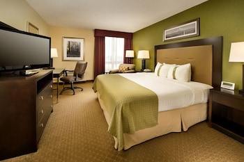 Premium Room, 1 King Bed (Allergen Treated)