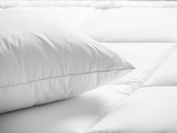 Premium Room, 1 King Bed (Allergen Treated)