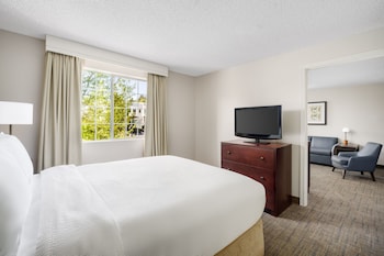 Suite, 1 Bedroom (Fireplace)