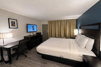 Deluxe Single Room