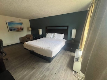 Room, 1 King Bed, Non Smoking, Jetted Tub
