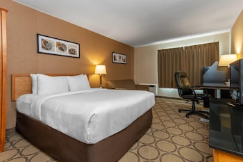 Room, 1 King Bed, Non Smoking, Refrigerator (Upgrade)