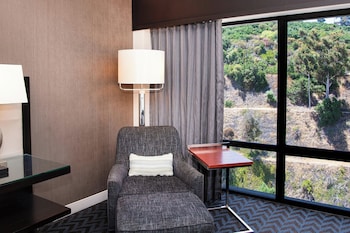 Room, 1 King Bed