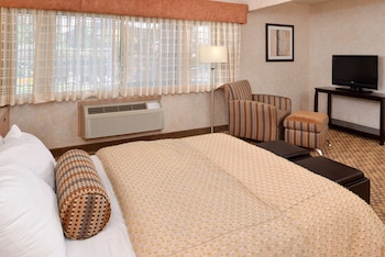 Standard Room, 1 Queen Bed, Non Smoking, Refrigerator (Queen Murphy Bed Only)