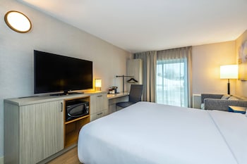 Suite, 1 King Bed with Sofa bed, Non Smoking