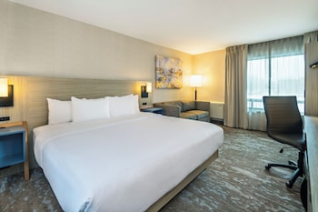 Room, 1 King Bed, Non Smoking ( Upgrade)