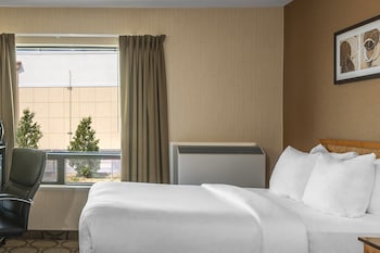 Room, 1 King Bed