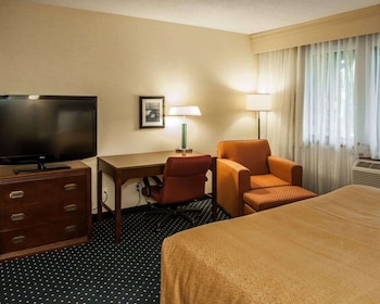 Room, 1 King Bed, Accessible, Non Smoking
