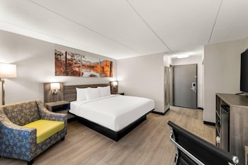 Standard Room, 1 King Bed, Non Smoking (Pet-Friendly)