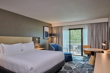 Room, 1 King Bed, Garden
