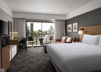 Room, 1 King Bed