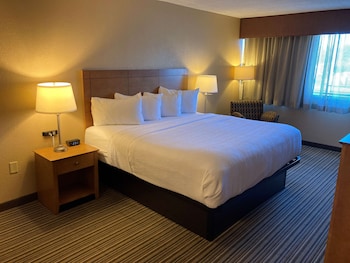 Standard Room, 1 King Bed, Non Smoking, Refrigerator & Microwave