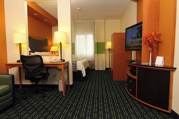Executive Suite, 1 King Bed with Sofa bed
