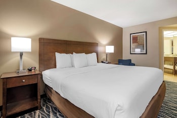 Standard Room, 1 King Bed, Non Smoking