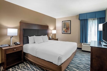 Room, 1 King Bed with Sofa bed, Non Smoking