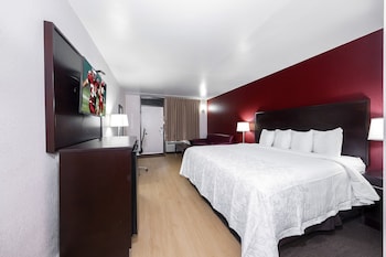 Suite, 1 King Bed (Smoke Free)