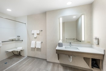 Standard Room, 1 King Bed, Accessible (Roll-In Shower)