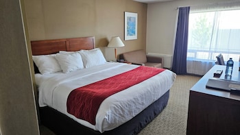 Standard Room, 1 King Bed, Non Smoking