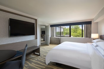 Room, 1 King Bed (Hearing Accessible)