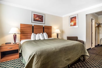 Room, 1 King Bed, Non Smoking