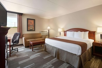 Room, 1 King Bed, Non Smoking (Mobility Accessible Roll-In Shower)