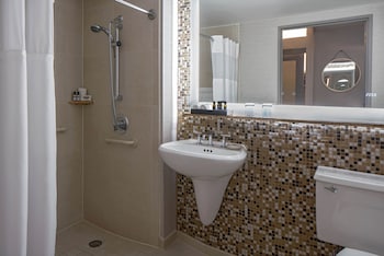 Room, 1 King Bed, Accessible (Shower)