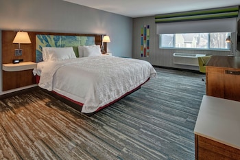 Room, 1 King Bed, Refrigerator & Microwave